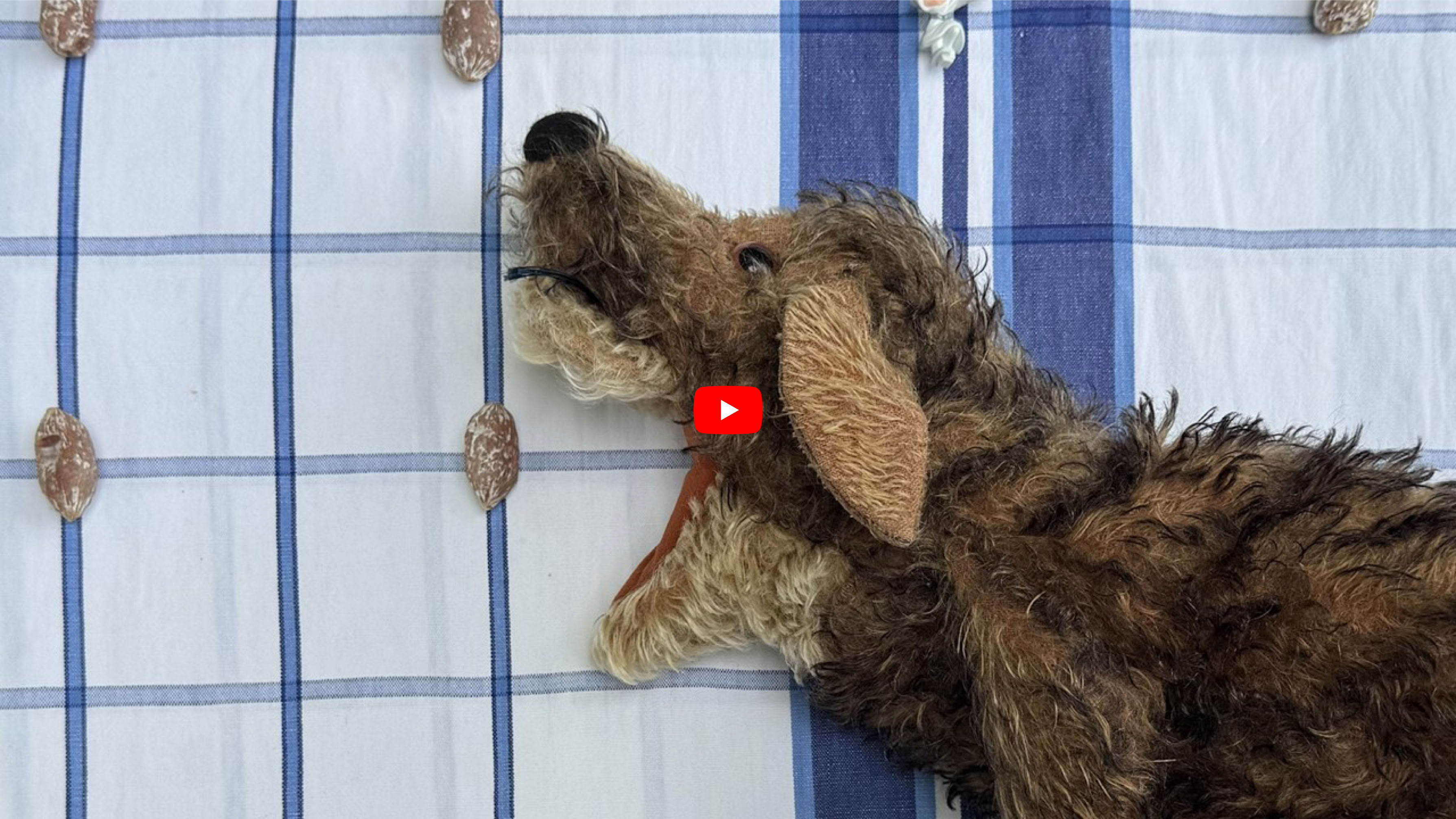 Video abspielen