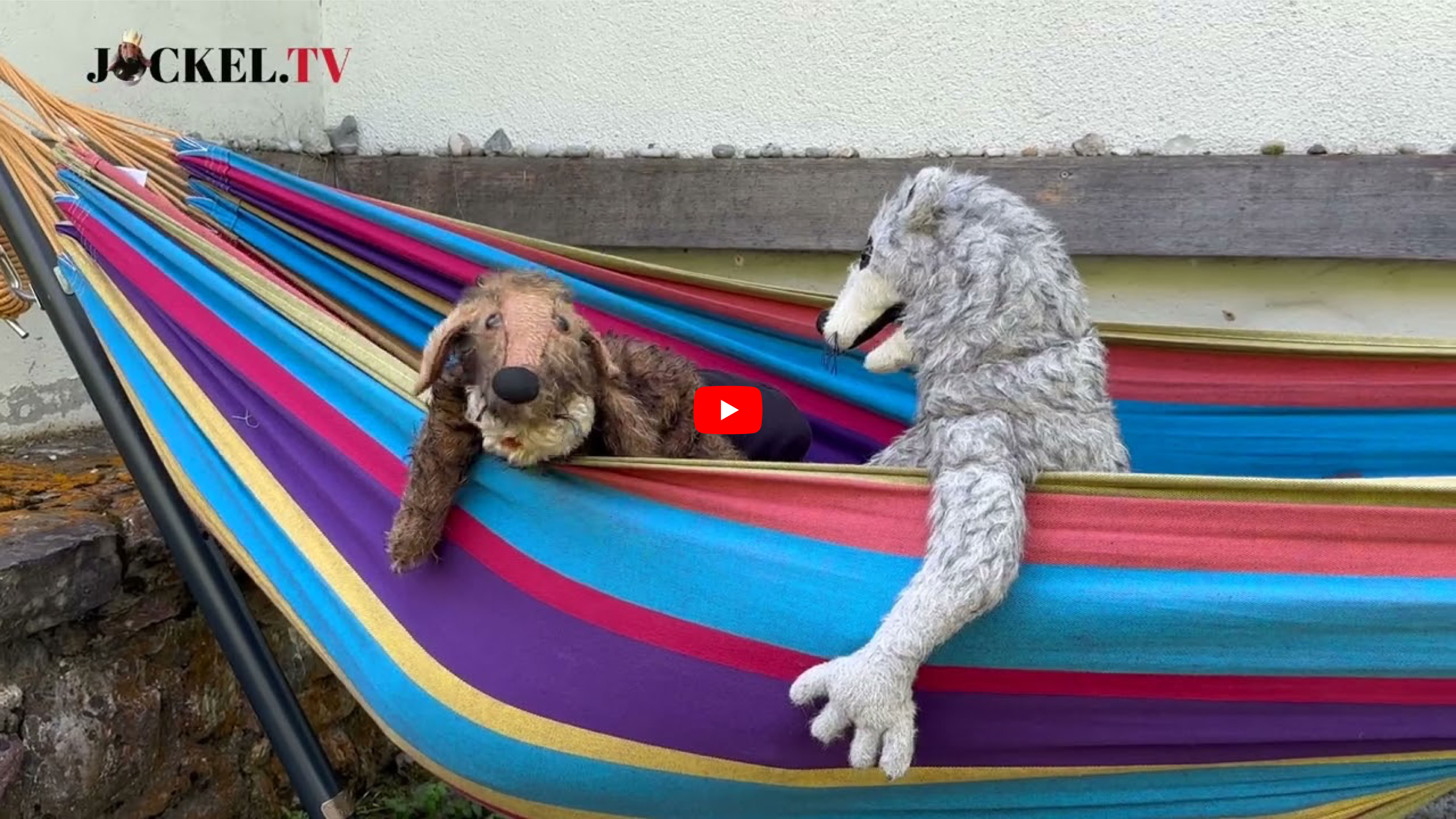 Video abspielen