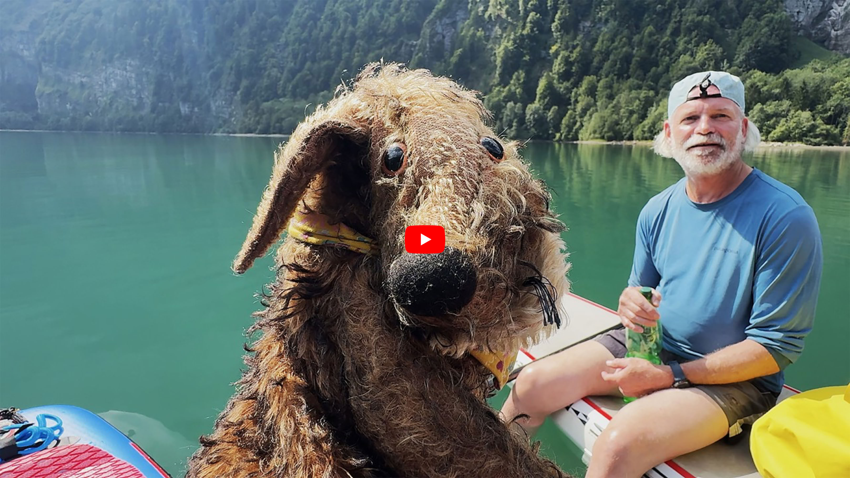 Video abspielen